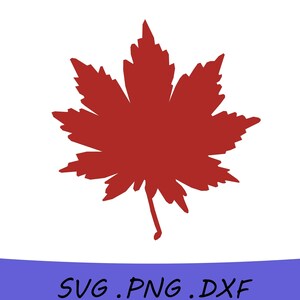 Fall Leaf SVG, Fall Leaf PNG, Fall Leaf DXF, Fall Leaves Svg, Fall Svg, Fall Png, Fall Leaf Clipart, Halloween svg, Autumn Leaf Svg,