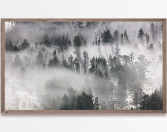 Samsung Frame TV Art Christmas, Winter Samsung Art TV, Instant Download, Forest Frame TV Art, Frame Tv Art, Evergreen Trees, Tree Tv Art