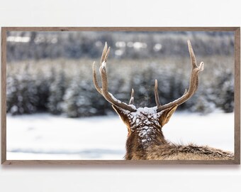 Samsung Frame TV Art Christmas, Deer Frame TV Art, Deer in Glistening Snow, Frame TV Art, Christmas Decor, Samsung Art Tv, Descarga Digital