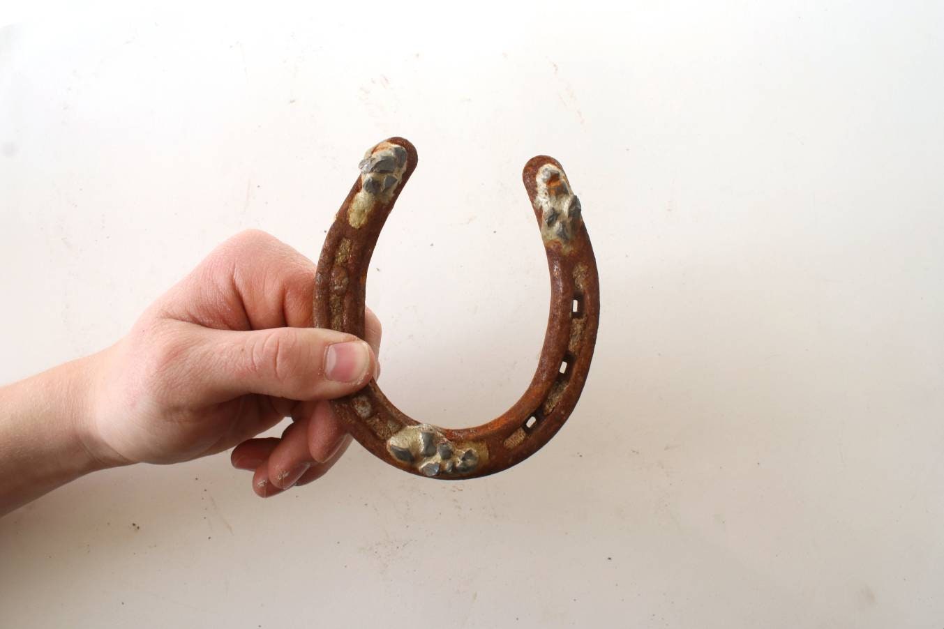 1 Rusty Mule Horseshoe horseshoe Decor lucky Horseshoe Etsy