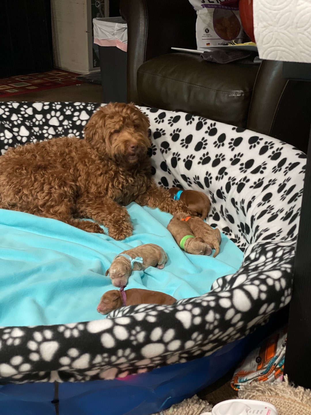 LARGE Custom Fleece Whelping Pool Box Bed Cover FREE SHIPPING Etsy