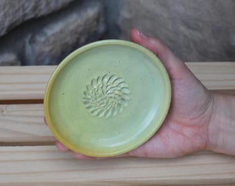 May include: A round, light green ceramic grater plate with a smooth, raised, spiral-patterned center for grating garlic or ginger. The plate features a subtle speckled texture throughout the glaze and a slightly elevated rim around the edge.