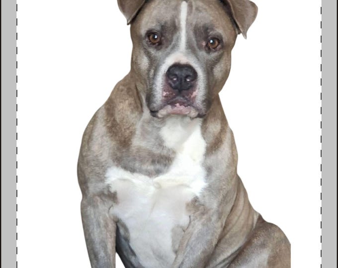 Custom Pet Photo Plush Keychain | Personalized Mini Stuffed Animal