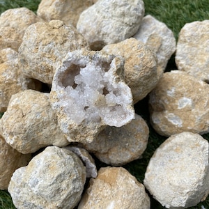 Break Open Your Own Geode – 4cm Natural Quartz Crystal Cluster, Small Whole Geode Gift, Crystal Science Kit for Kids & Collectors