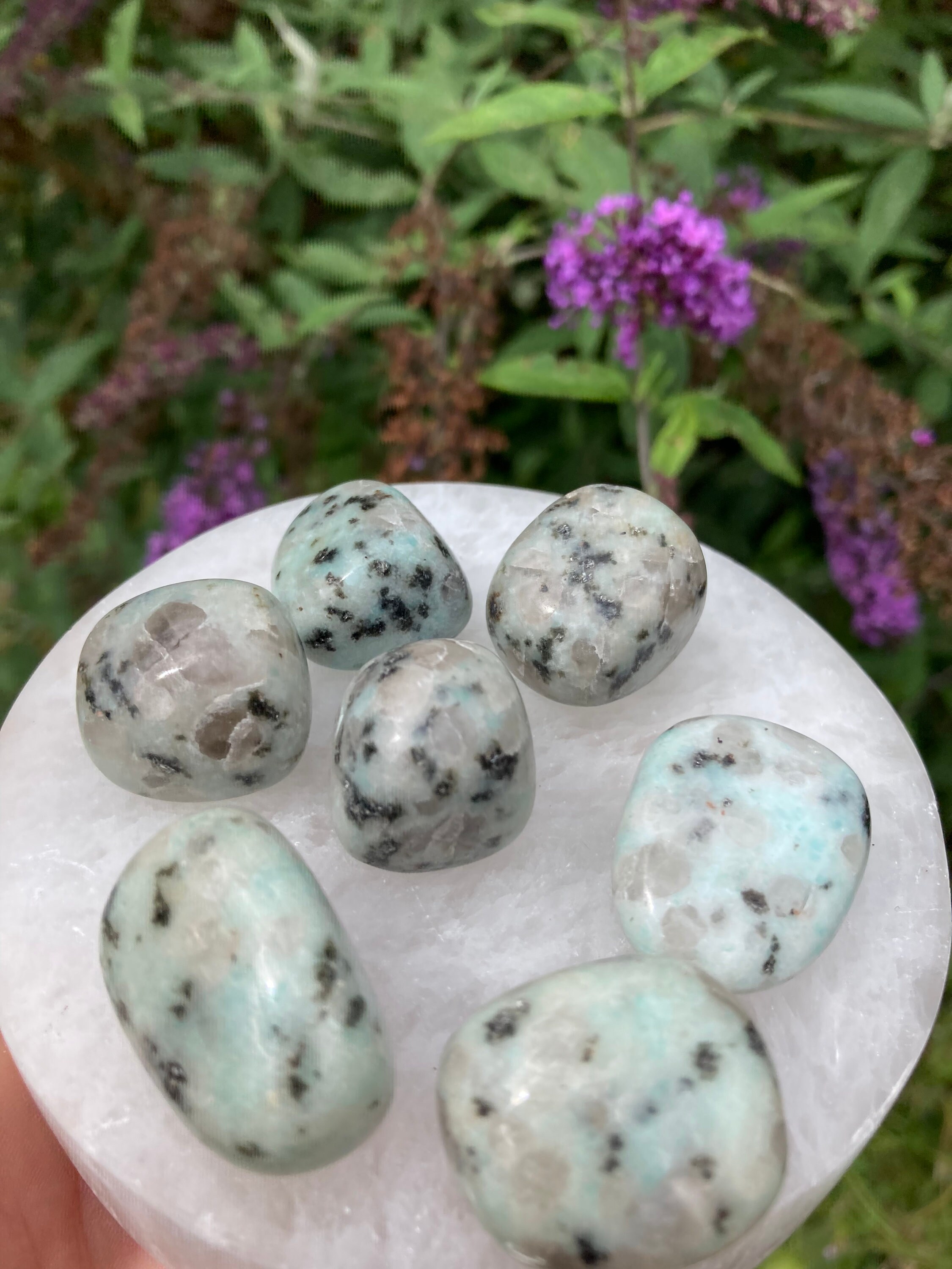 Kiwi Jasper Crystal Tumble Stone Etsy