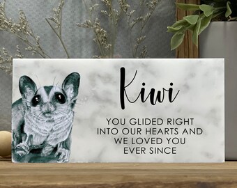 Aussie Animal Sugar Gilder Gifts If You Dont Have One Youll Never Understand Sugar Glider Throw Pillow Multicolor 18x18 Aussie Animal Sugar Gilder Gifts If You Dont Have One Youll Never Understand Sugar Glider Throw Pillow Multicolor 18x18