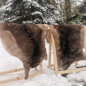 May include: Two brown animal hides are stretched and drying on wooden A-frame stands in a snowy outdoor setting.