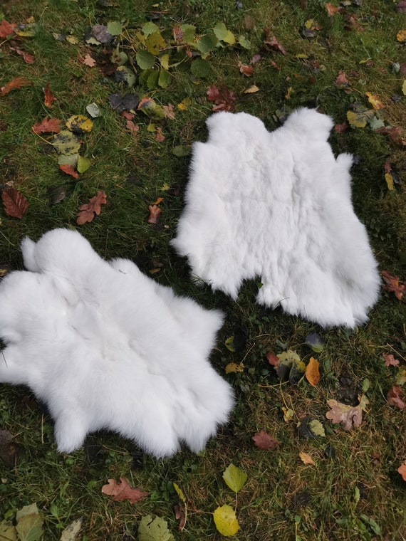 10 White Rabbit Fur Pelts – Grade B, Great Value For Craft & Fashion