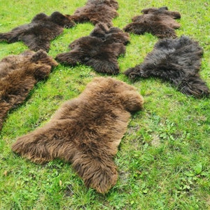 S - XXXL Echte Schapenvacht, Lamsvacht, Vellen, Natuurlijk Bruin, Nieuw, Traditioneel, Europees, Grote Schapenvacht, Natuurlijk, Tapijt, 40 cm - 140 cm