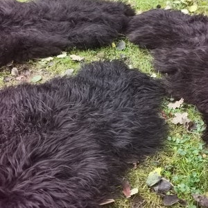 S - XXXL Eco B Sheepskin Lambskin Skins Dark Natural Brown New with small defects Winter Autumn Furnishing Winter Garden Soft