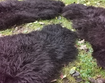 10x Pelli Di Coniglio XXL Hassenfelle Pelliccia Di Coniglio Pelliccia - Foto 10