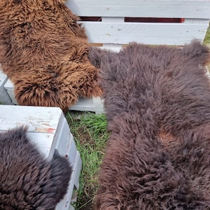 S - XXXL eco B sheepskin lambskin skins natural brown New with small defects