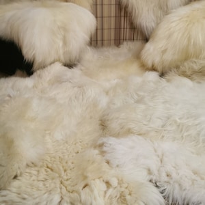 Bio Öko Schaffell Lammfell Felle Natur-Weiß 130cm Neu Schnäppchen 2.Wahl mit kleinen Mängeln weich schön Geschenk