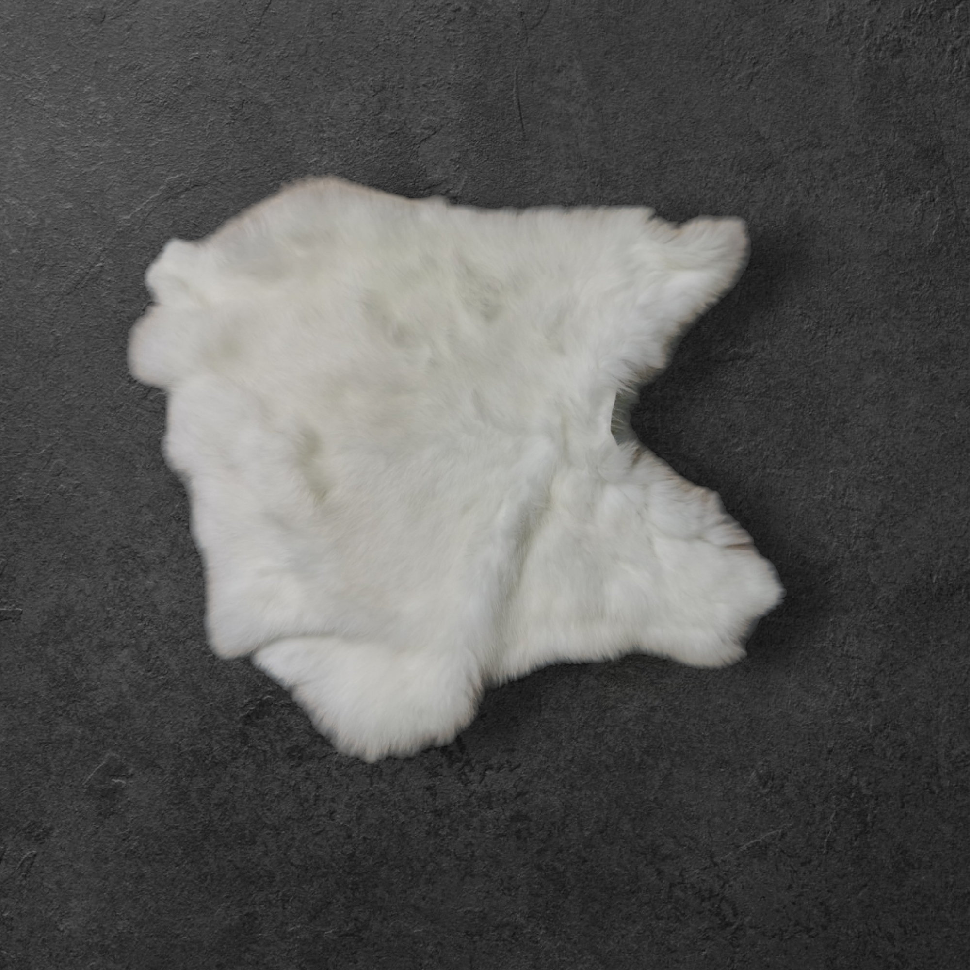 10x Pelli Di Coniglio XXL Hassenfelle Pelliccia Di Coniglio Pelliccia - Foto 6