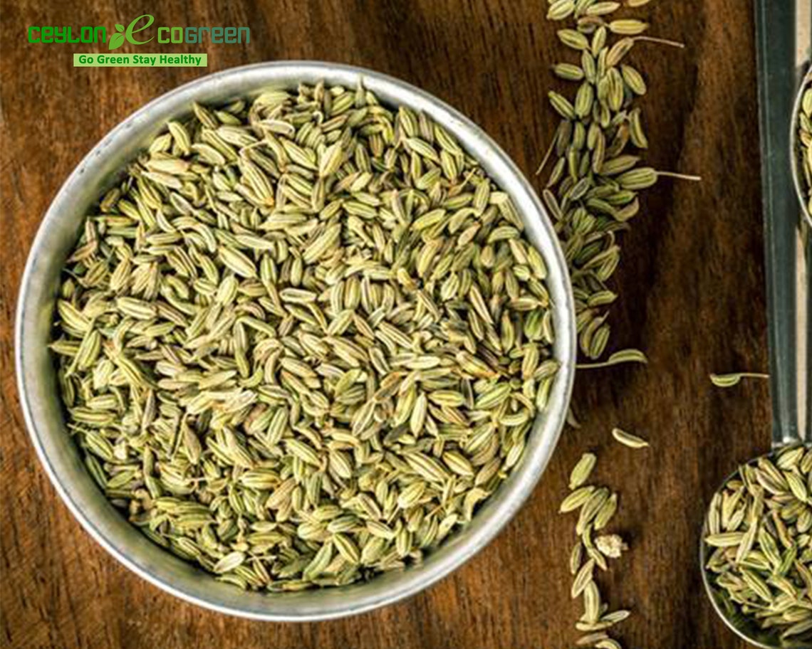 Fennel Seeds Whole Dried Grade A Premium Quality Free Etsy