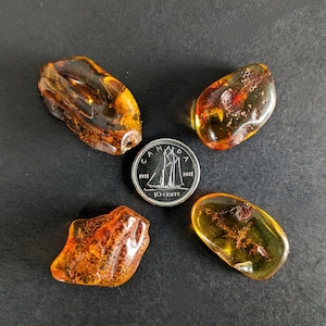 Baltic Amber Tumbled Stone. 1pc.