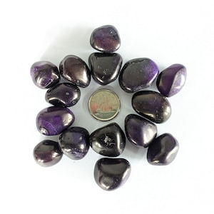 Può includere: Una collezione di 12 pietre di ametista viola lisce e levigate. Le pietre sono disposte in cerchio attorno a una moneta da dieci centesimi di dollaro americano.
