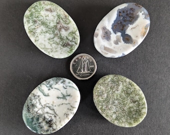 Tree Agate Worry Stone
