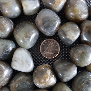 Labradorite Tumbled Crystal. 1pc
