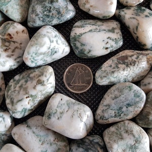 Tree Agate Tumbled Crystal. 1pc