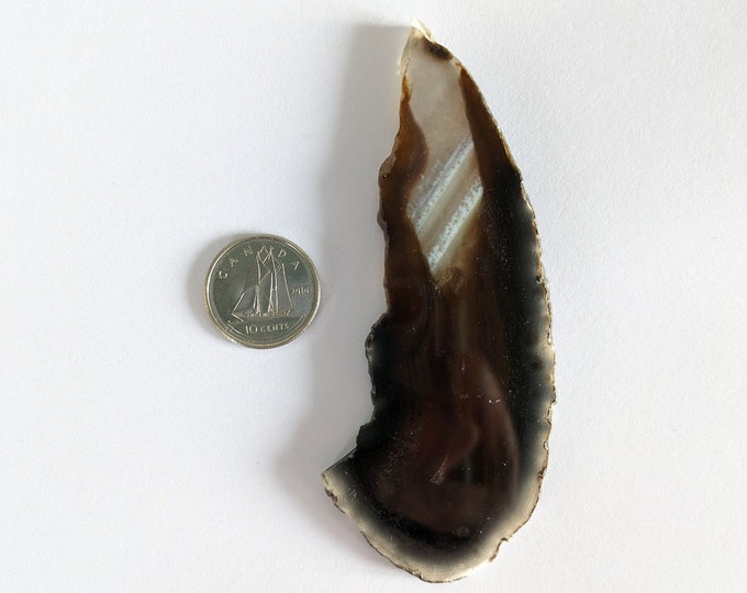 Black Agate Slice. 1pc