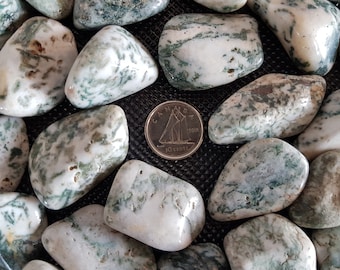 May include: A collection of green and white moss agate tumbled stones. The stones are smooth and polished, with a variety of patterns and colors. A Canadian dime is included for scale.