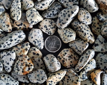 Dalmatian Jasper Tumbled Crystal. 1pc