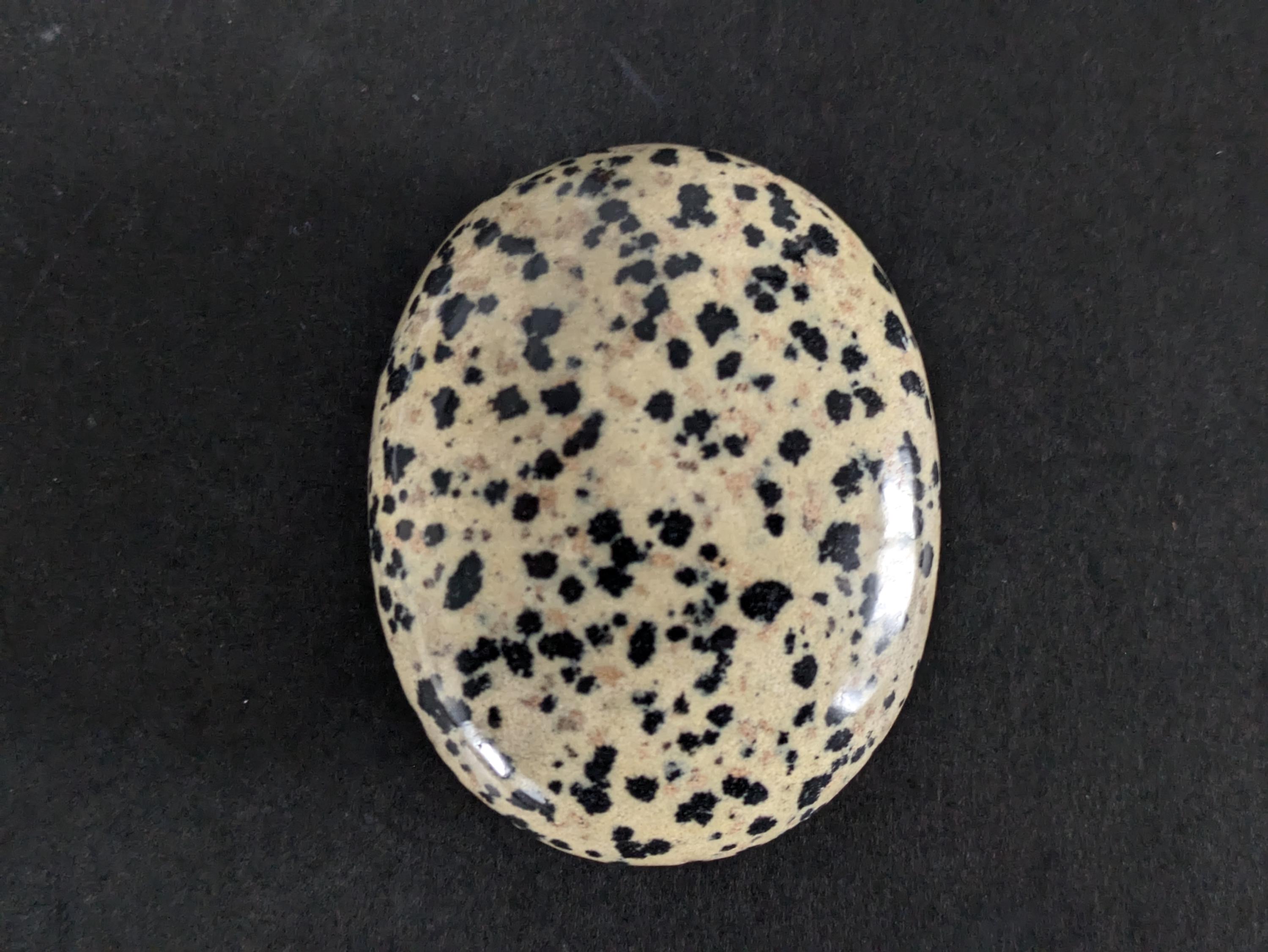 Dalmation Jasper Palm Stone