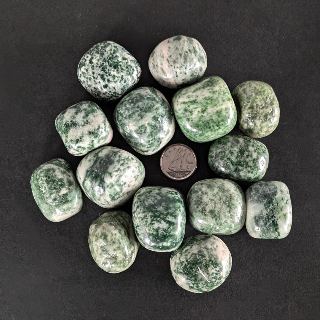 Timbled Tree Tree Agate Tumbled Crystal. 1pc - Etsy