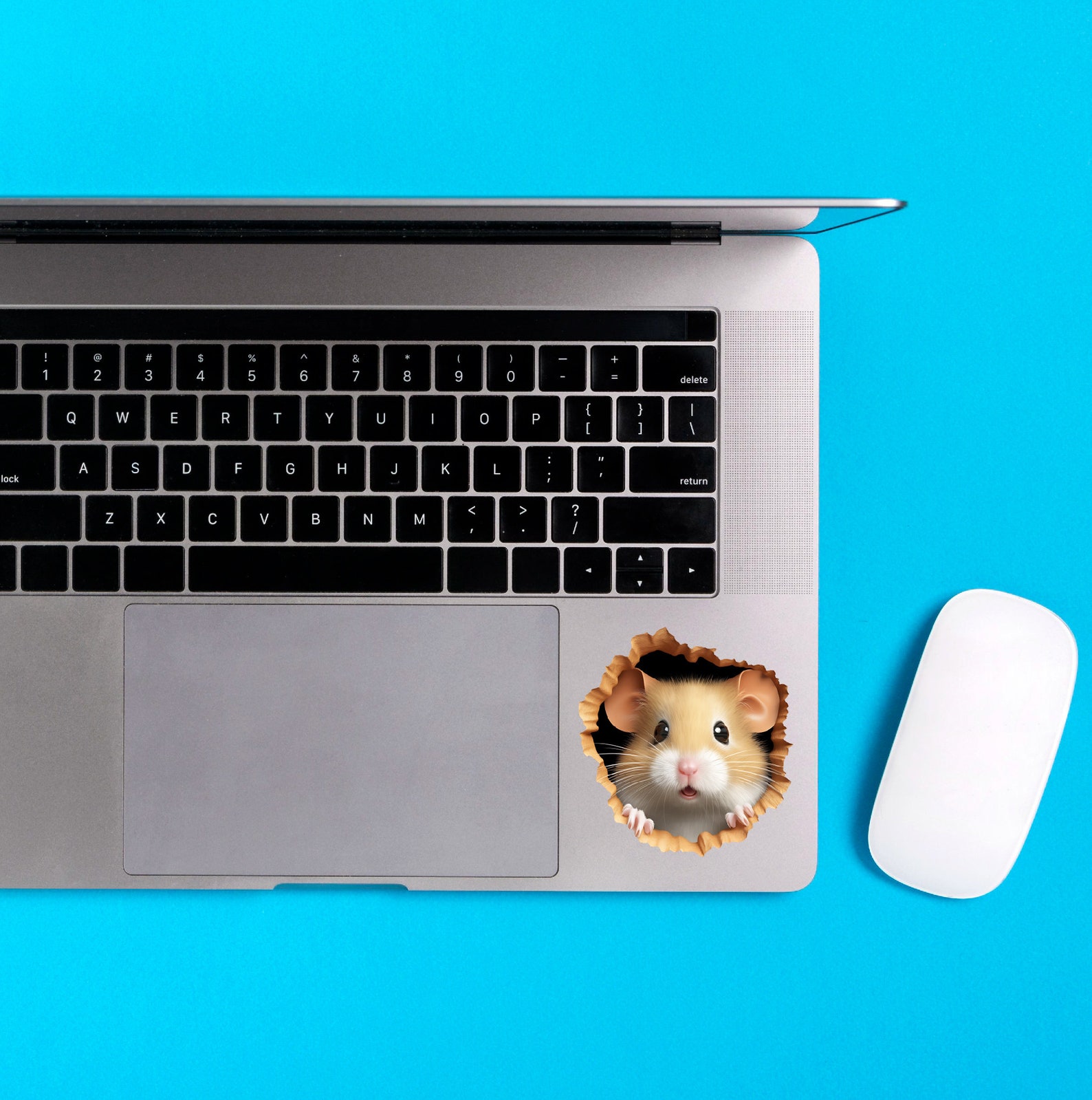Cute Mouse in Mouse Hole Decal, 3d Mouse Sticker, Realistic Mouse Hole ...
