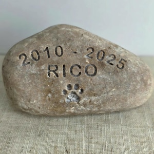 May include: A light brown stone with the inscription "2010 - 2025 RICO" and a paw print.