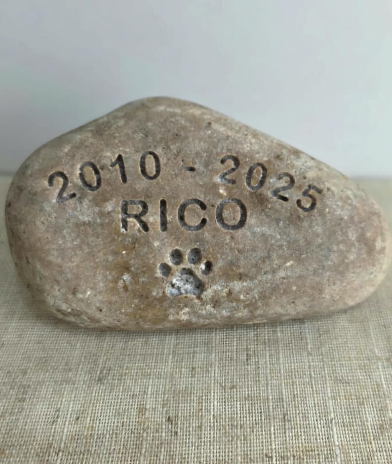 May include: A light brown stone with the inscription "2010 - 2025 RICO" and a paw print.