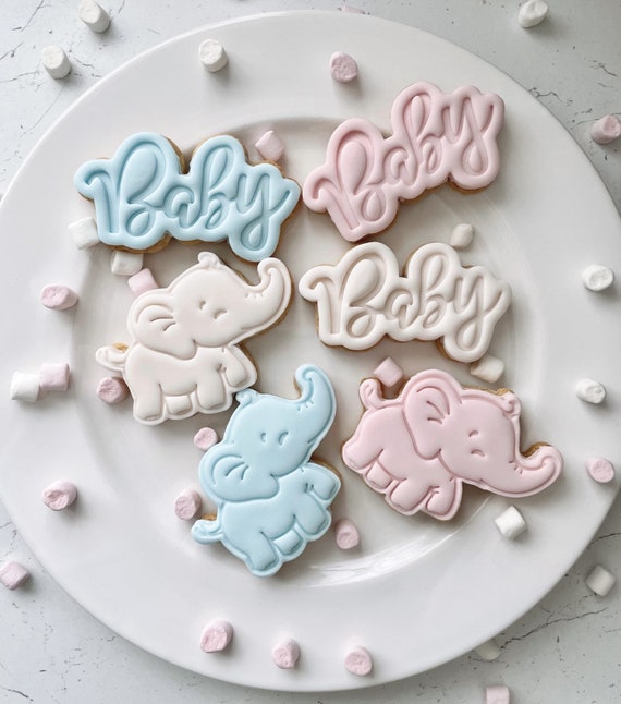 Gender Reveal Party Biscuits / Baby Shower / Gifts / Cookies / Favours