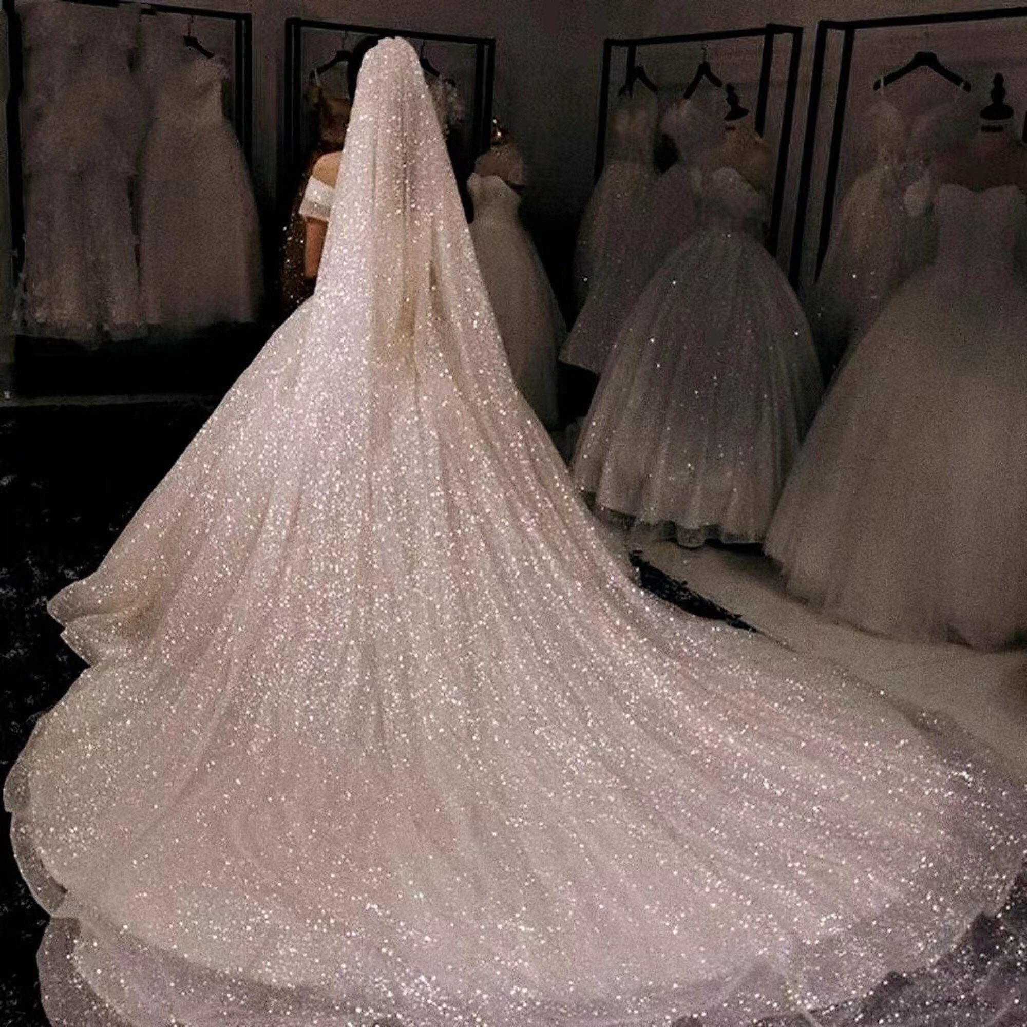 Royal Wedding Dress With Veil,ball Gown Wedding Dress,princess