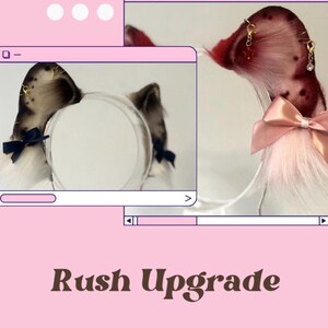 Aggiornamento all'elaborazione prioritaria / Sposta il tuo ordine in cima alla coda