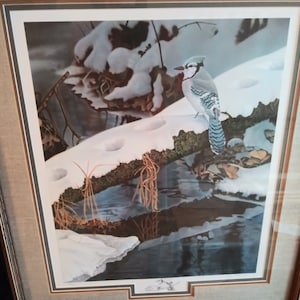 BBlue Jay print by Jerry Gadamus, framed, limited edition number 54 of 600