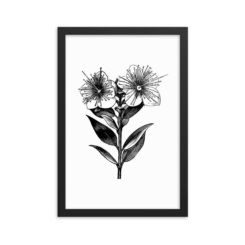 Black and White Flower Illustration Framed Wall Art Flower | Etsy