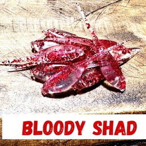2” BLOODY SHAD Fat Body QTY 20