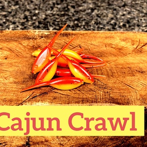 Qty 20 2” fat body Shad