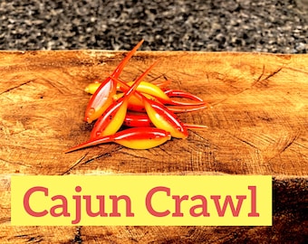 Qty 20 2” fat body Shad