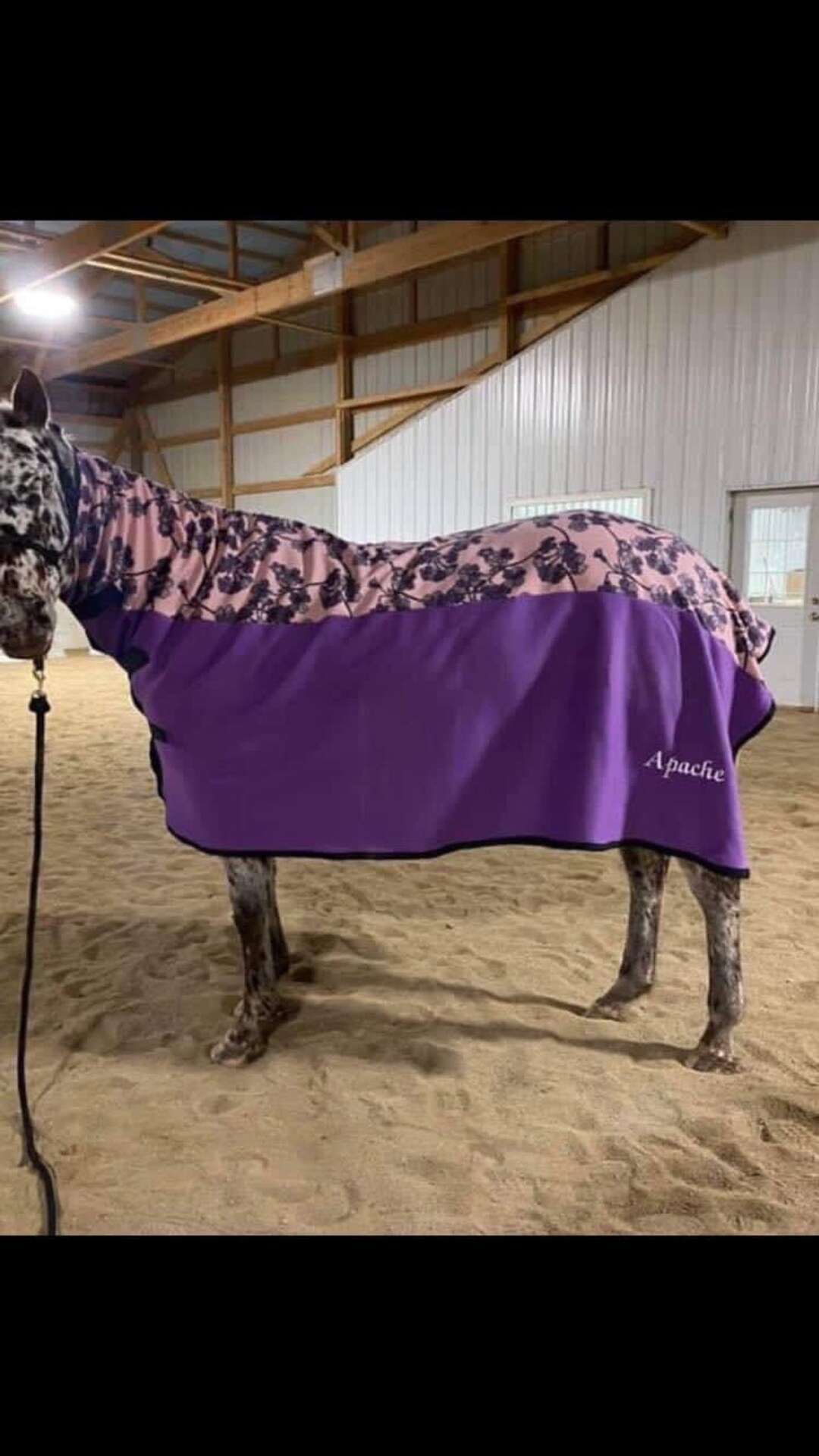 Whinney Wicker Fleece Horse Cooler Etsy