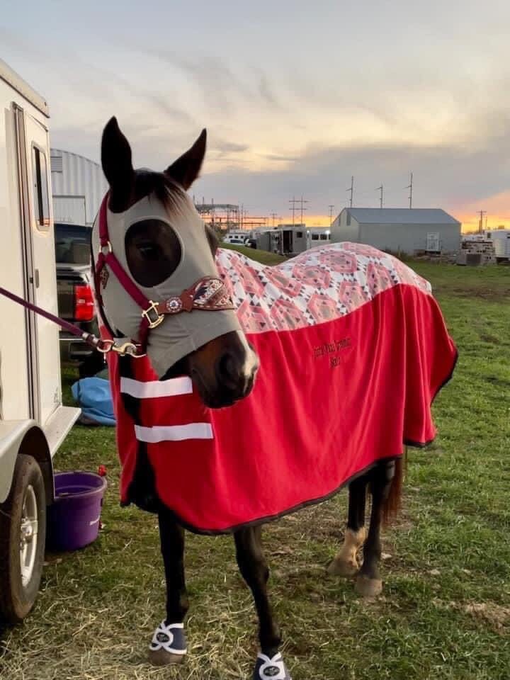 Whinney Wicker Fleece Horse Cooler Etsy