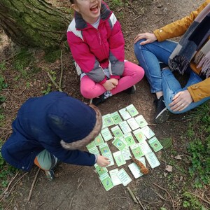 May include: A group of cards with illustrations and text are laid out on the ground. A child in a blue jacket and another in a pink jacket are interacting with the cards. An adult in a yellow jacket and blue jeans is also present.
