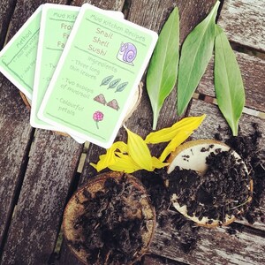 May include: A set of four green cards with instructions for making a snail shell sushi dish using mud and natural materials. The cards are laid out on a wooden surface with a pile of dirt, yellow flower petals, and green leaves.