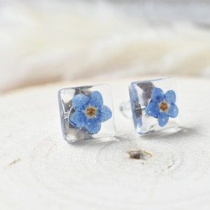 Real Pressed Flower Earring Blue Forget Me Not Flower Sterling Silver Stud Earrings Gift for Her, Resin Jewelry Keepsake, Gift for loss