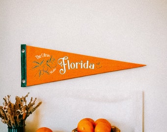 May include: Orange pennant with the text "The Citrus State Florida" and a drawing of an orange tree. Four oranges are in a woven basket on a wooden surface.