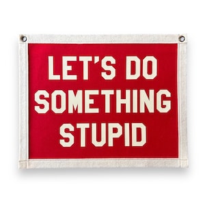 Lets do something Stupid Banner | Felt Pennant Flag Banner | Vintage Banner | Wall Decor | Wall Hanging