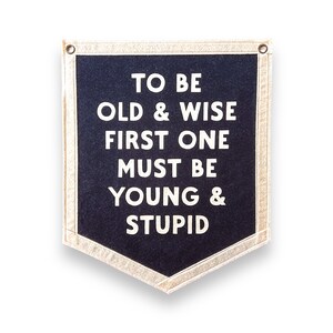 To be Old and Wise, first one must be Young and Stupid | 5 Sided Felt Pennant Banner | Vintage Banner | Wall Decor | Wall Hanging