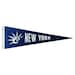 see more listings in the Pennants section