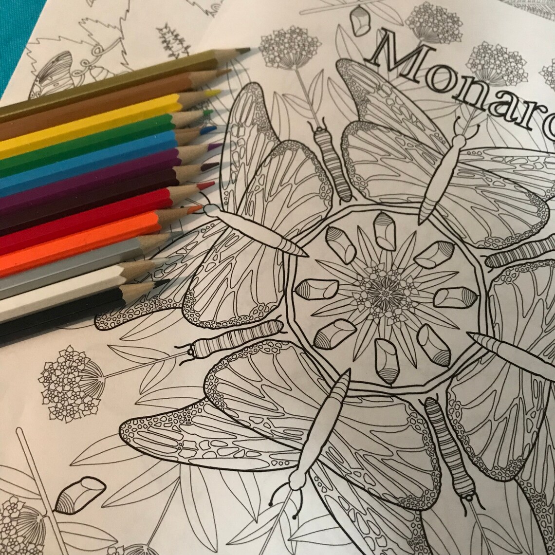 Butterfly Life Cycle Coloring Pages for Digital Download - Etsy